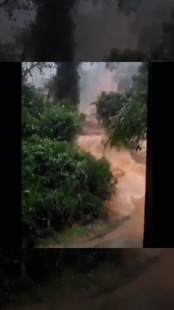 Наводнение в конце ноября в Гамполе на Шри-Ланке