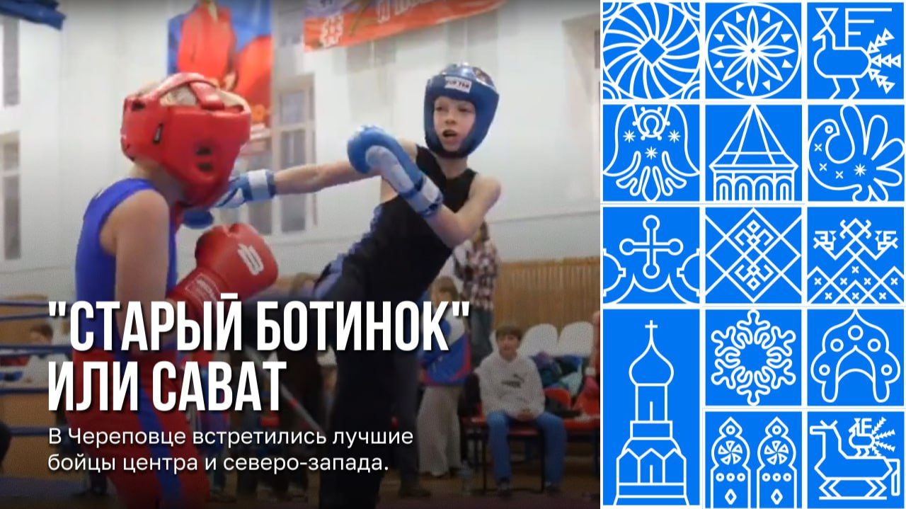 Первенство ЦФО и СЗФО по савату в Череповце