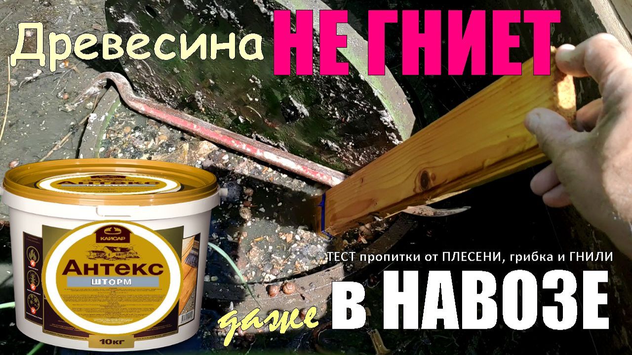 Жесткий ТЕСТ Антекс ШТОРМ и оценка качества защиты от плесени, грибка и ГНИЛИ в реальных условиях.