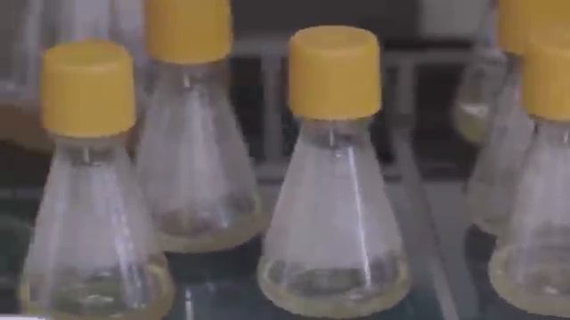 ЗОНА 51 Что находится внутри самой секретной базы США