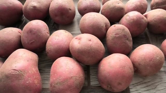 Картофель Балтик роуз после хранения на внешний вид и в разрезе, декабрь 2025.