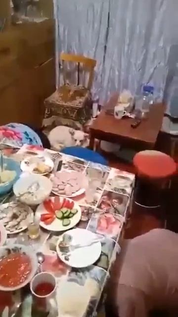 Позитивчик для вас.