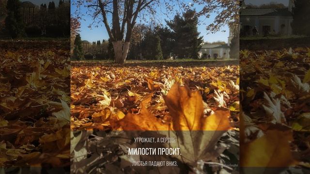 Заунывное время