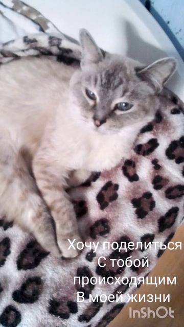 в память о Марке