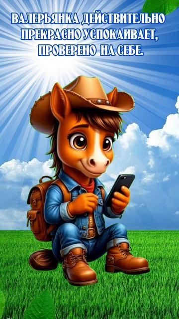 Скетч -шоу. Юмористические видеоролики.