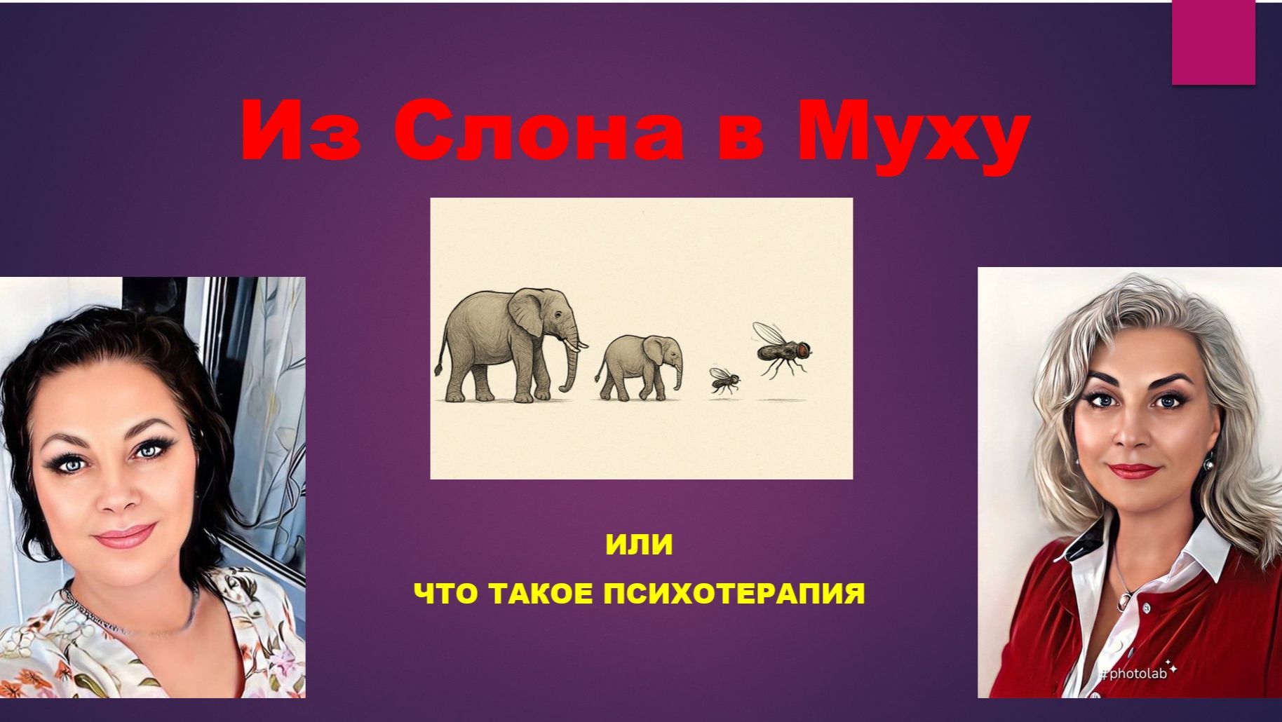 Из Слона в Муху или что такое психотерапия