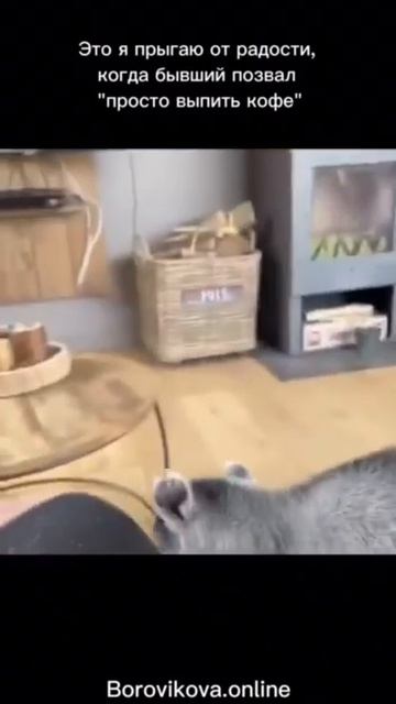 #психология #отношения #бывшие #любовь #эмоции #зависимость #привязанность #тревога #границы