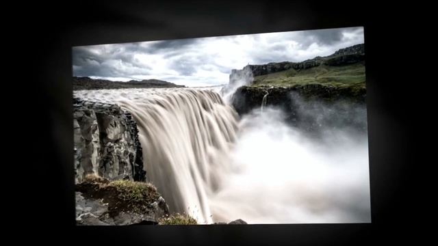 DBlack - Lonely Tree