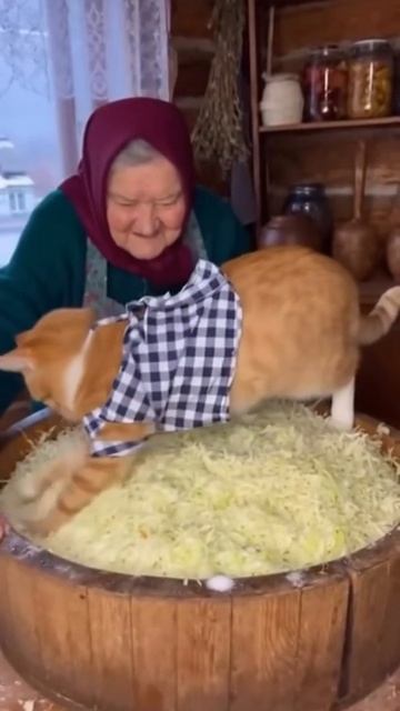 Капусту надо мять