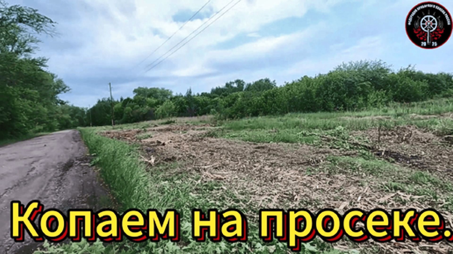 Приборный поиск. На просеке.