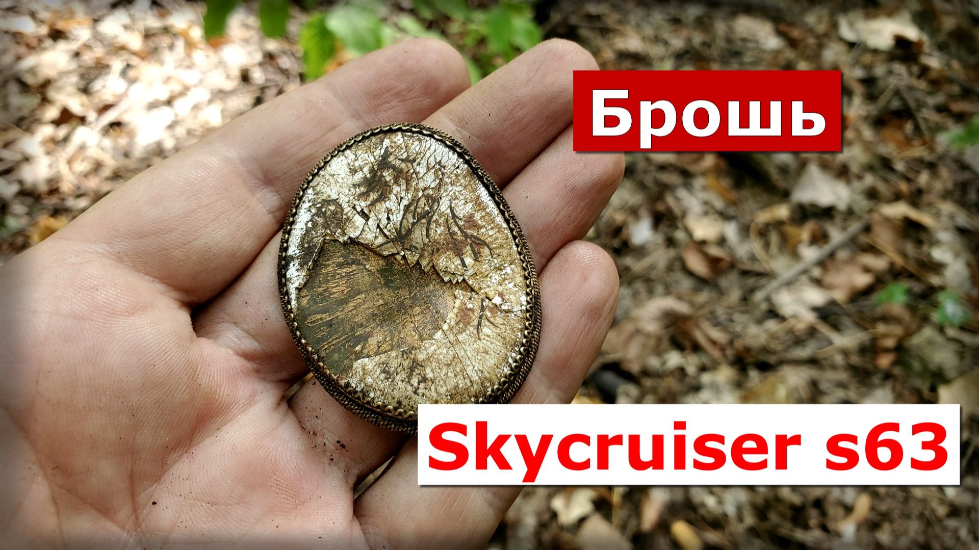 Нашёл брошь в лесу. Skycruiser s63.