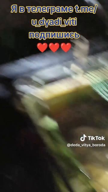 Пришел ночью покормить Африканских сомиков. #акваферма #tiktoklive #сомы #огород #теплица #дядявитя