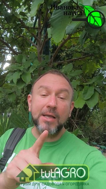 Всегда под рукой! Они и не знали, что так можно делать: теперь у них есть это бесплатное удобрение.