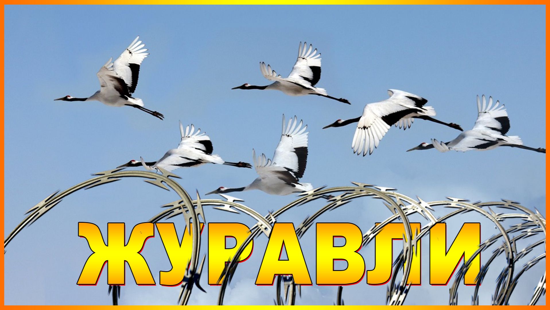 ЖУРАВЛИ