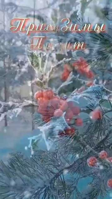 #видеооткрытка #видео #пожелания #сдобрымутром #рек #топ #katyboro #shortvideo #2025 #врек #шорст