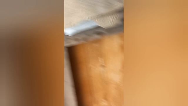 ОЗВУЧКА. В ГОРОД ЗА ЛОПАТОЙ.