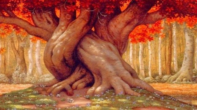 Сонное царство. (проза)