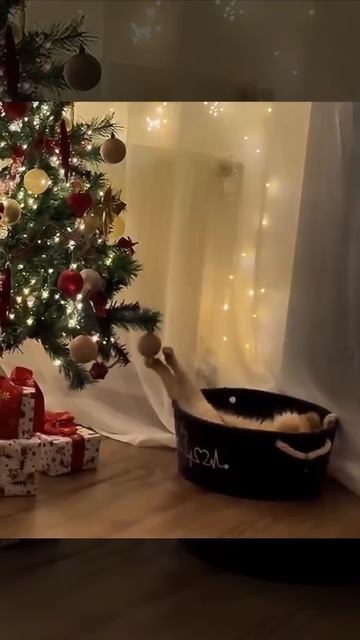 Лень, но суету навести хочется.