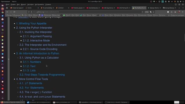 Каким образом парень достиг таких высот в Питон за довольно короткое время? Cистема работы с кодом.
