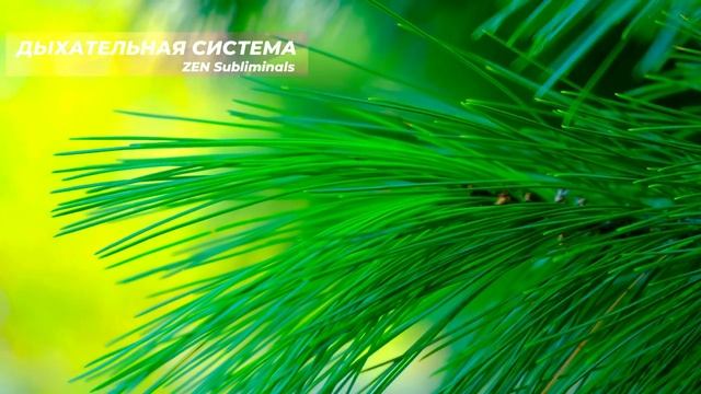 Дыхательная Система*НОВЫЙ Саблиминал*Полное Исцеление всех Органов Дыхательной Системы.