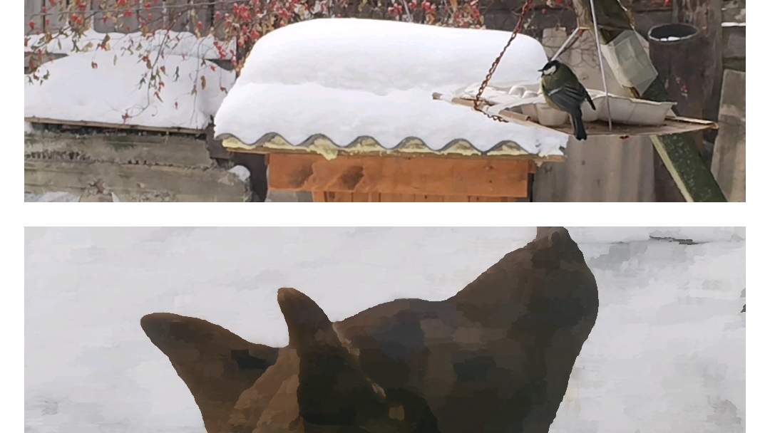 Дом, природа, непогода, Максик, Мишка, тесто в миске! Мой день!🤗