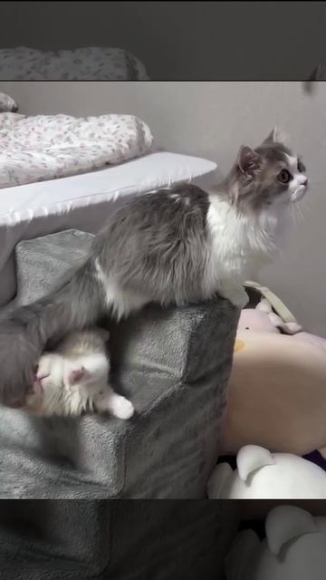 Просто мать года