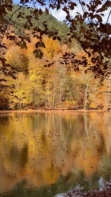 Зеркальная гладь озера Болу осенью