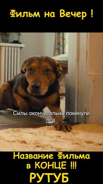 Хороший фильм на вечер !