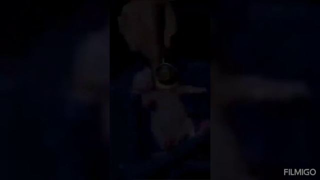 СМЕШНОЕ ВИДЕО ПРО ЖИВОТНЫХ. ПРИКОЛЫ.