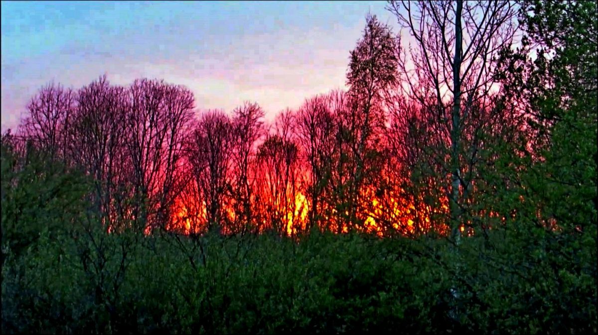 Соловьинный закат