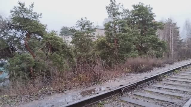 Хроника моего дня. Наши секреты и покупки.