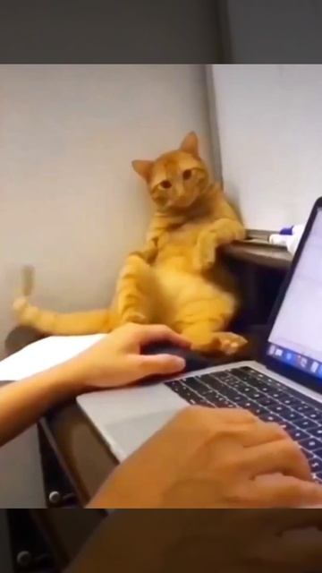 Присядем на дорожку 😅