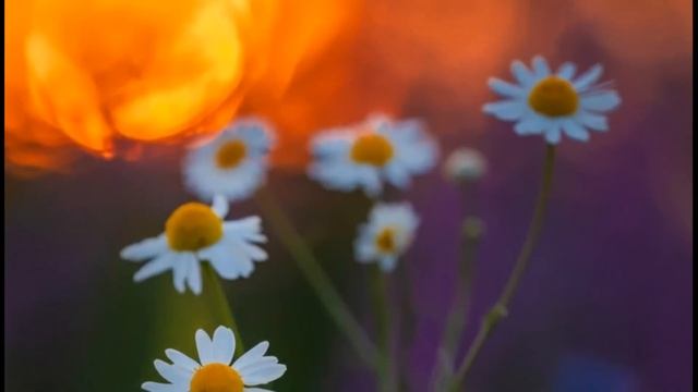 Albert Dietrich - Pièce pour piano