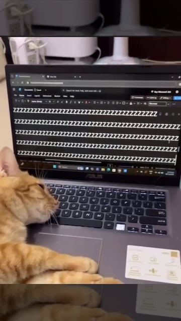 Просьба не беспокоить, я сейчас жестко  Z  - занят.