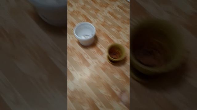 Пересадка цветов