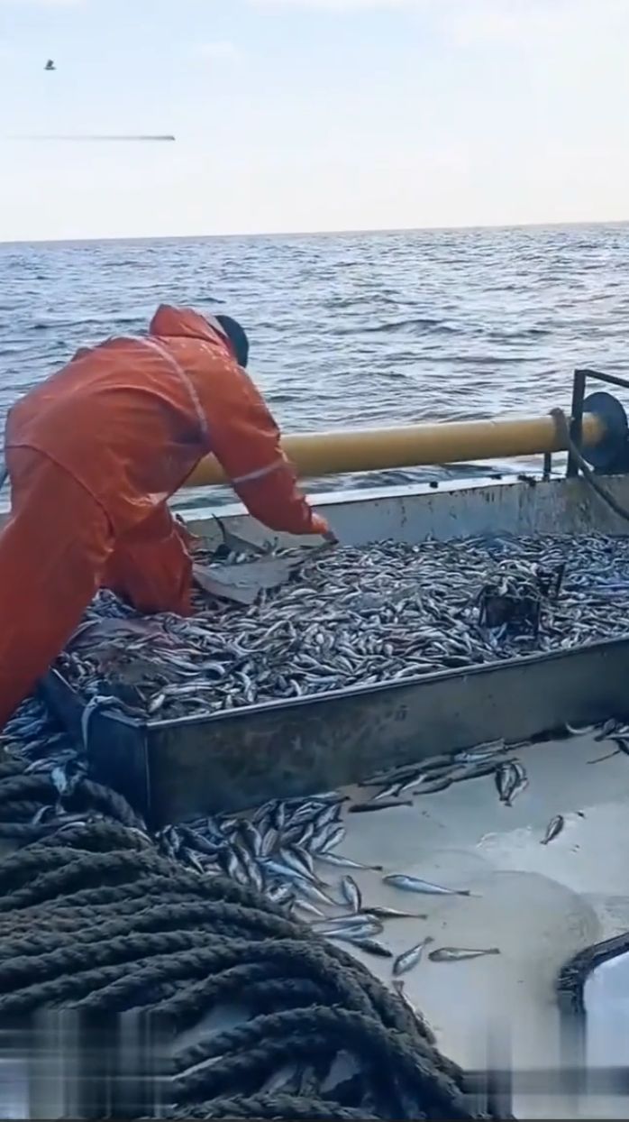 Рыбалка сетью с судна