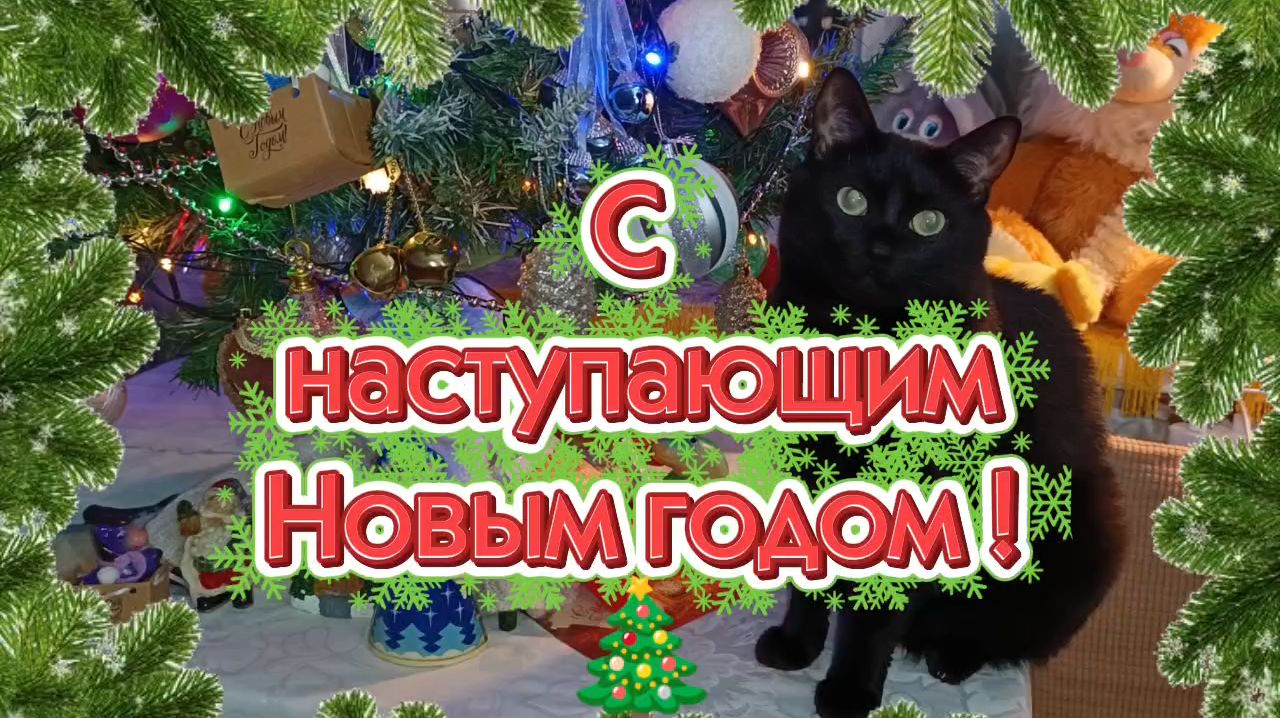 С Наступающим новым годом 🎄