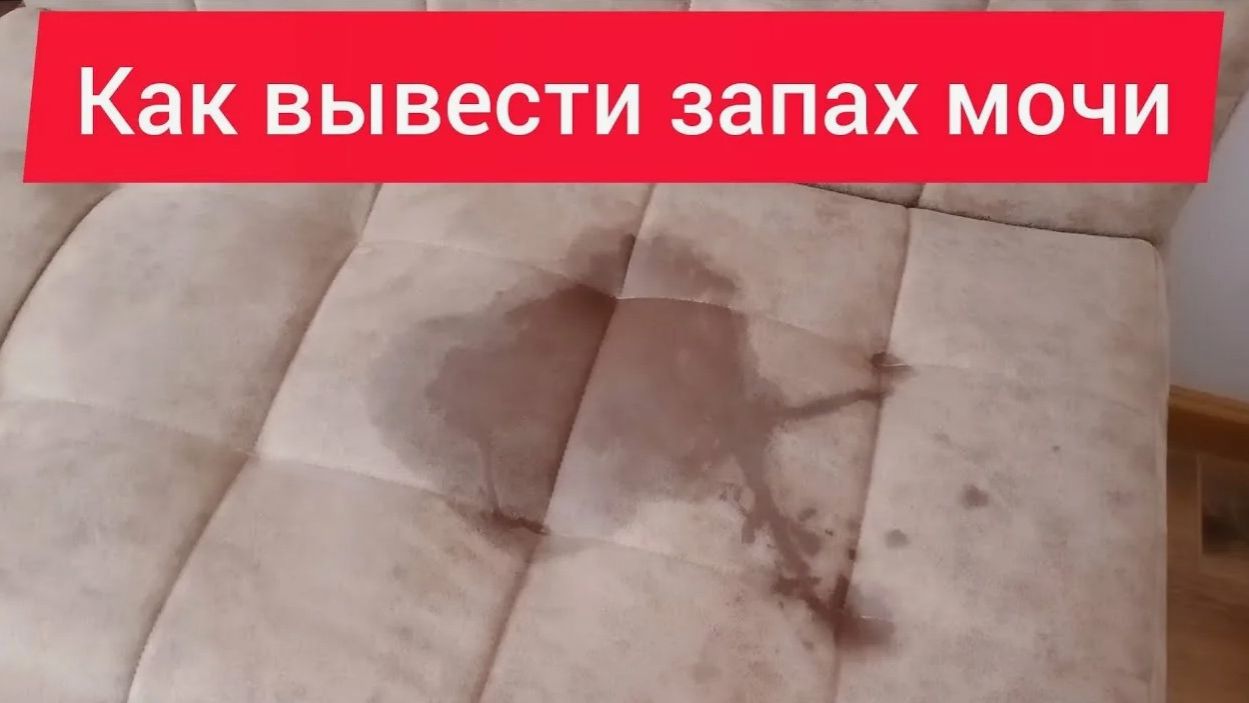 Многие и не знают, что от запаха мочи избавиться так просто