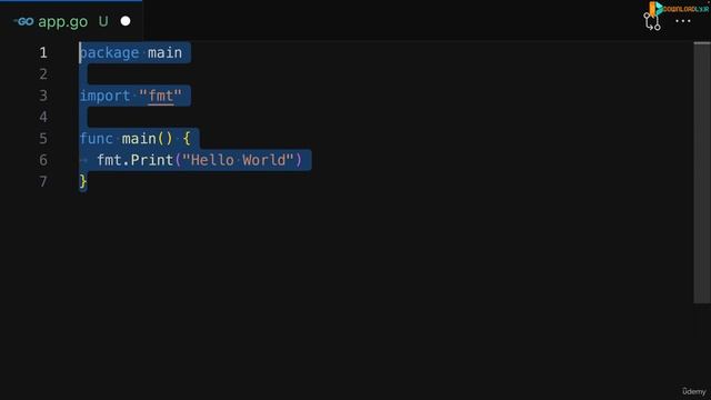 005 Writing a First Go Program