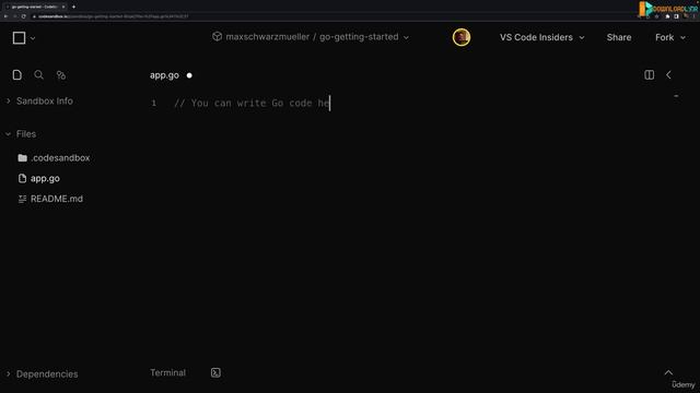 003 Installing Go (Alternative Web-based Setup)