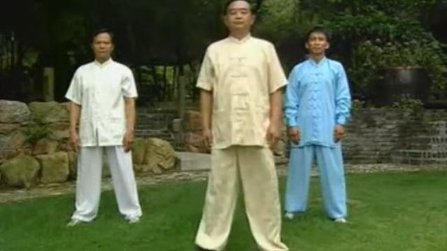 04 Вращение Неба и Земли Ли Чжэн