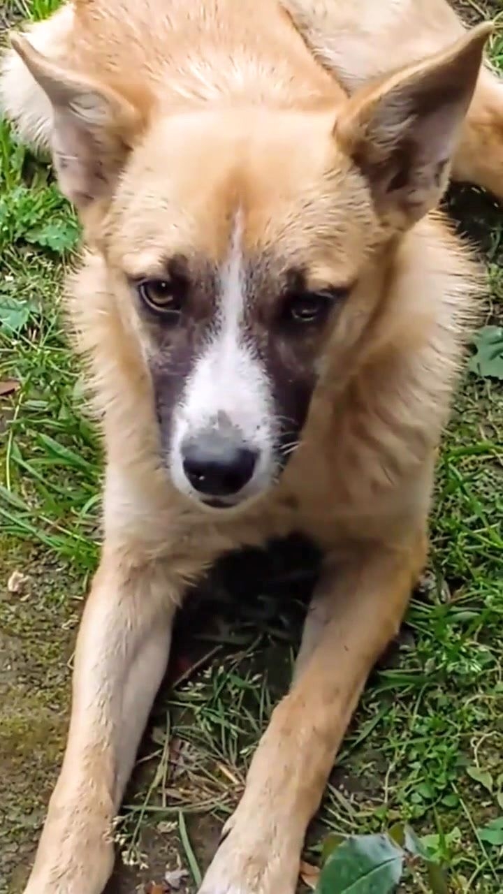 Вот так "поохотился'! 😻🤣