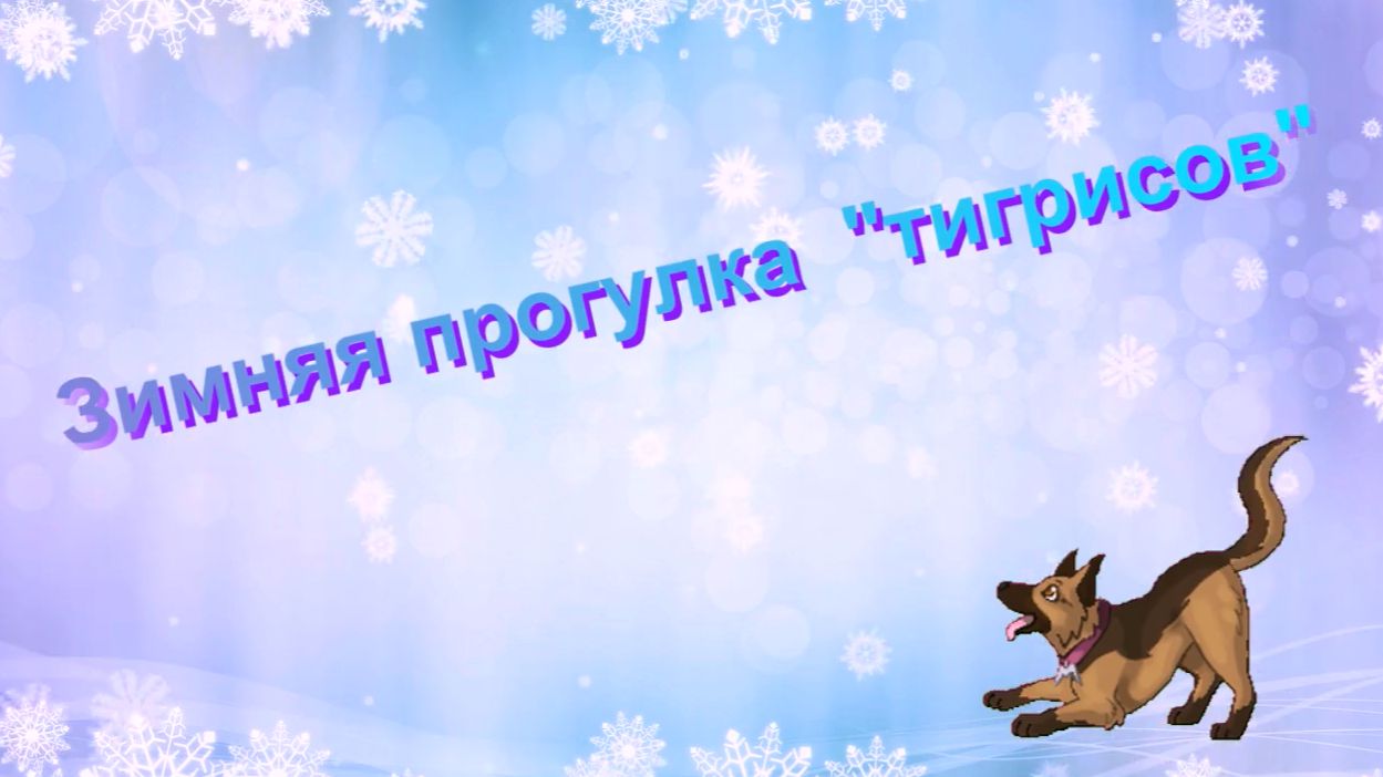 2019. Зимние прогулки  тигрисов .