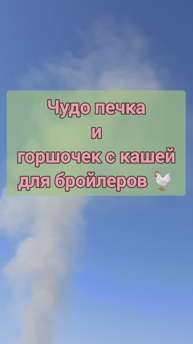 🔥 Печка-«паровоз» + чугунок с горохом = счастливые бройлеры! Так кормлю цыплят летом в деревне