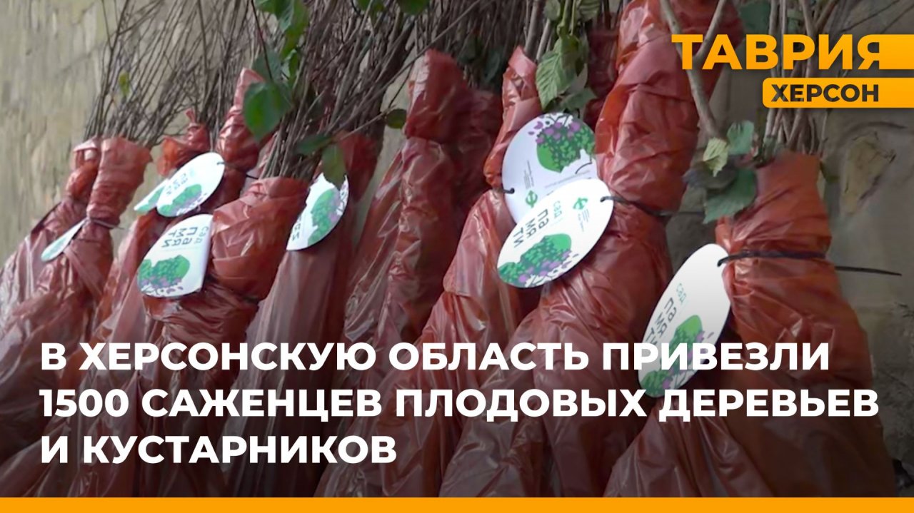 В Херсонскую область привезли 1 500 саженцев плодовых деревьев и кустарников