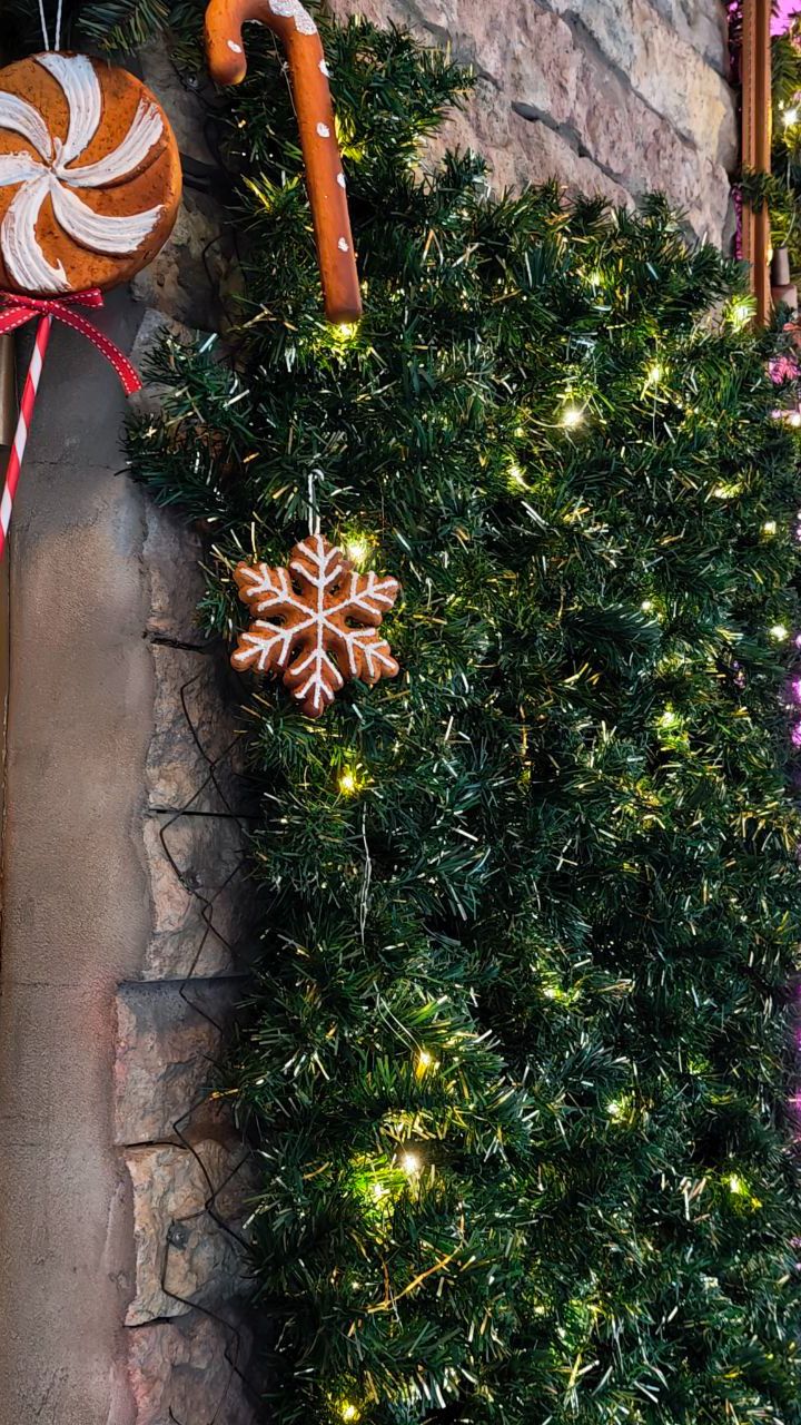 Елка есть, снега нет ❄️🎄