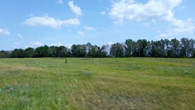 Опустевший посёлок Перескоков, Калининский район.