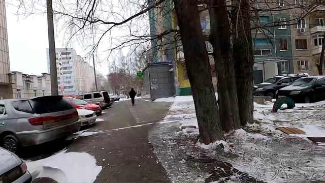 О дружбе слонихи и верблюда