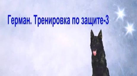 Герман , тренинг с А.Здоровцевым  02.14