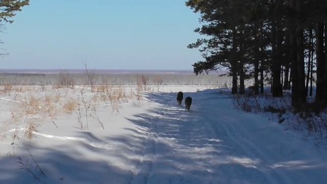 Саратово  2022